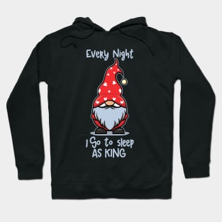 Gnomes king Hoodie